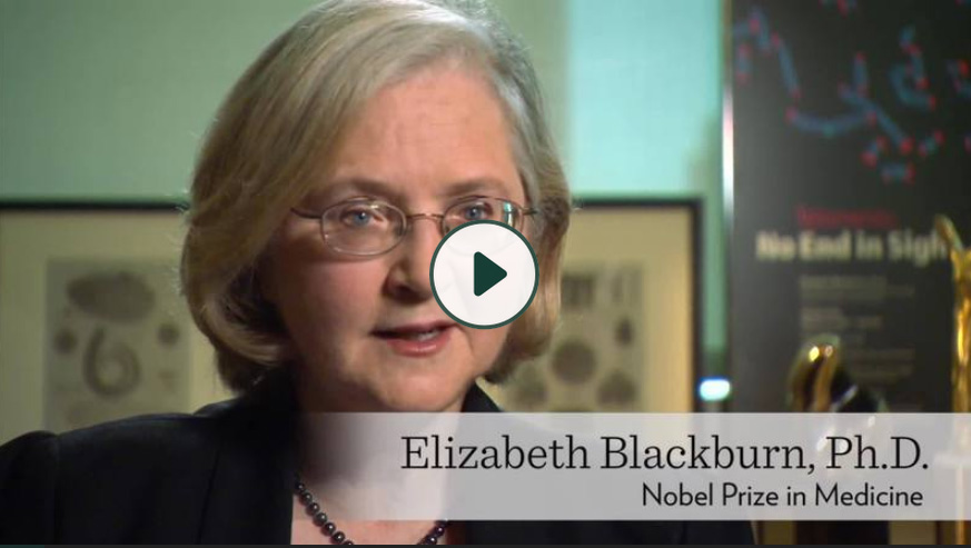 Telomeres | Elizabeth Blackburn, Ph.D.
